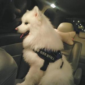 白白嫩嫩hdsexvideos
