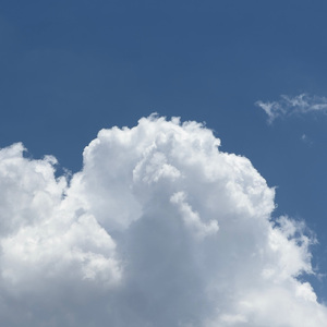 白白嫩嫩hdsexvideos
